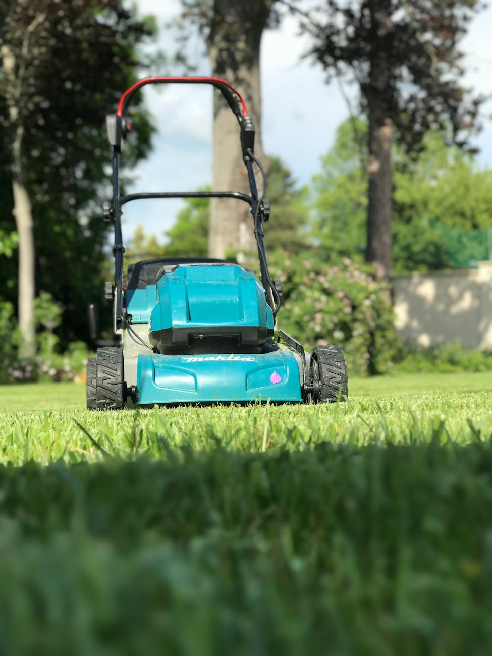 a lawn mower in the garden