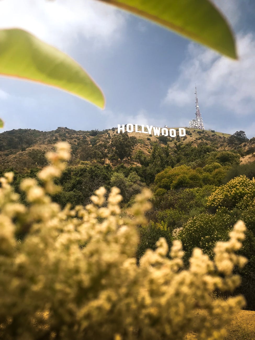 hollywood sign